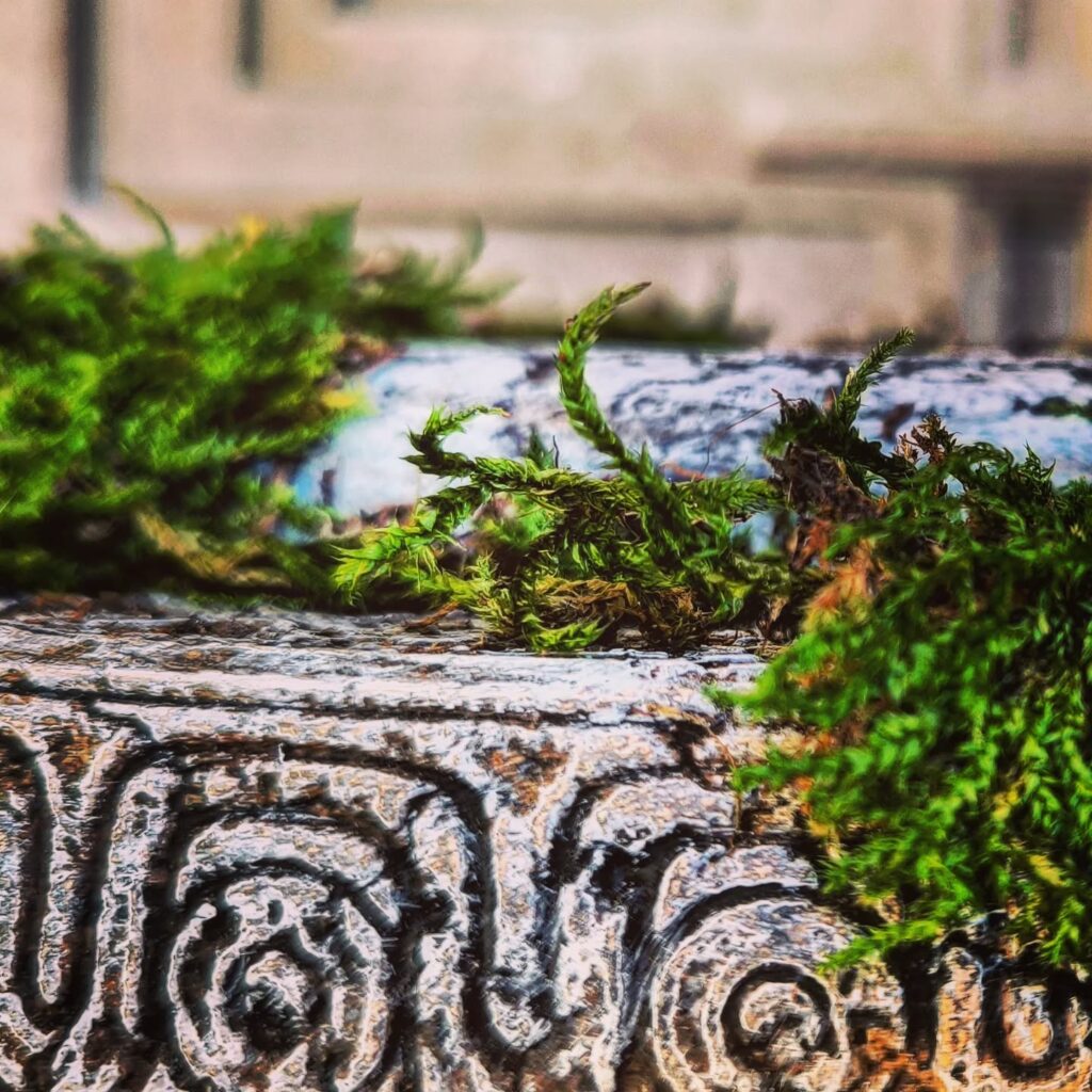 Instagram post from larseickstaedt. This post is in position 3.