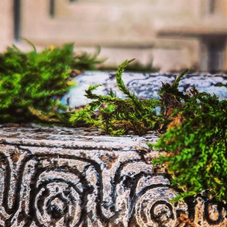 Instagram post from larseickstaedt. This post is in position 4.