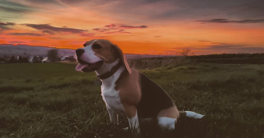 Instagram post from larseickstaedt. This post is in position 8.