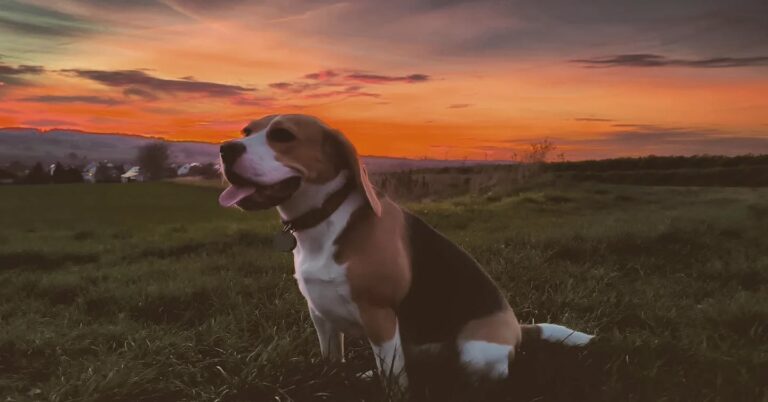 Instagram post from larseickstaedt. This post is in position 9.