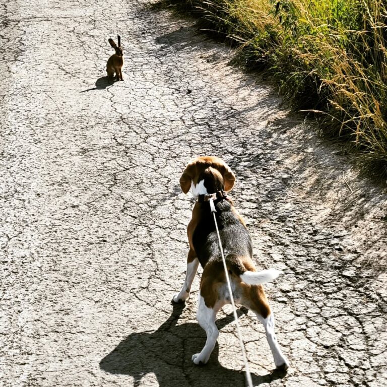 Instagram post from larseickstaedt. This post is in position 15.